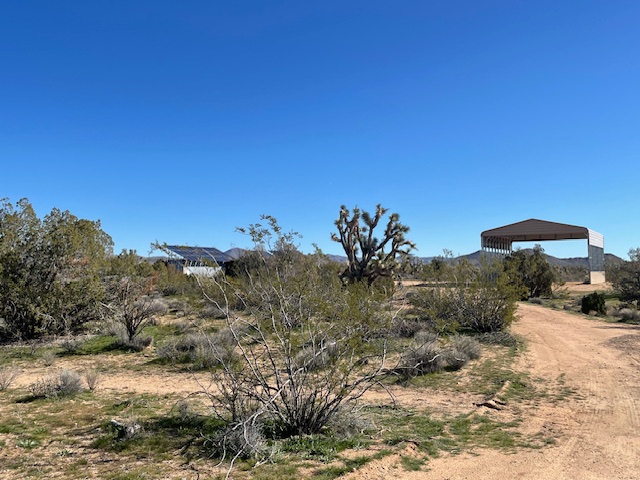 20810 South Cheyenne Road Yucca, AZ 86438 - Photo 4 of 26 a view of a dry yard with a house in the background