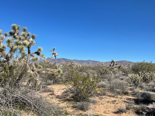 20810 South Cheyenne Road Yucca, AZ 86438 - Photo 10 of 26 a view of a sky view