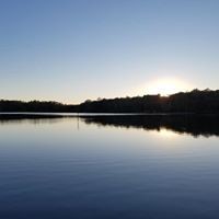 328 BigySmal Lane Cedar Grove, TN 38321 - Photo 15 of 26