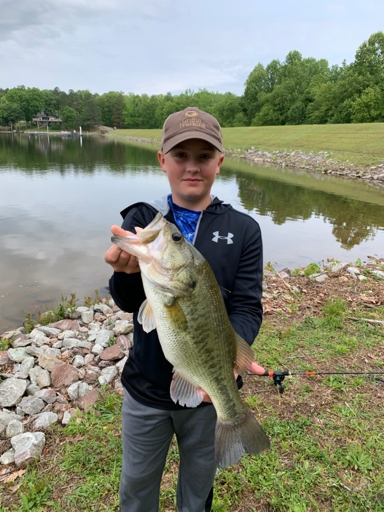 328 BigySmal Lane Cedar Grove, TN 38321 - Photo 18 of 26 a picture of a lake view