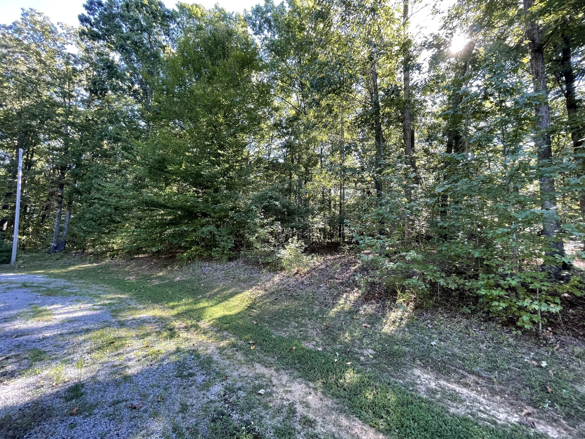 328 BigySmal Lane Cedar Grove, TN 38321 - Photo 2 of 26 a view of yard with green space