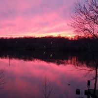 328 BigySmal Lane Cedar Grove, TN 38321 - Photo 24 of 26 a view of a lake in the sunset