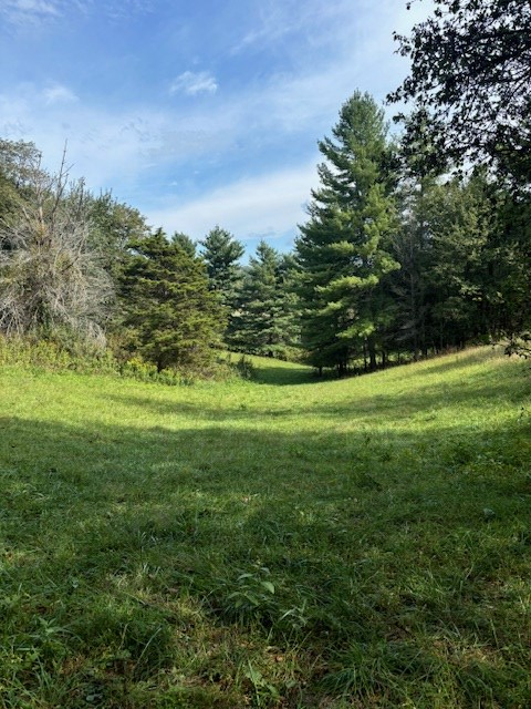 Tbd Lions Club Road, Unit 55 Saltville, VA 24370 - Photo 4 of 24 Gallery Image 4