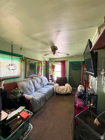 399 2nd E Street Helper, UT 84526 - Photo 5 of 19 Living area featuring wall-to-wall carpeting, a ceiling fan with integrated lighting, and painted paneling