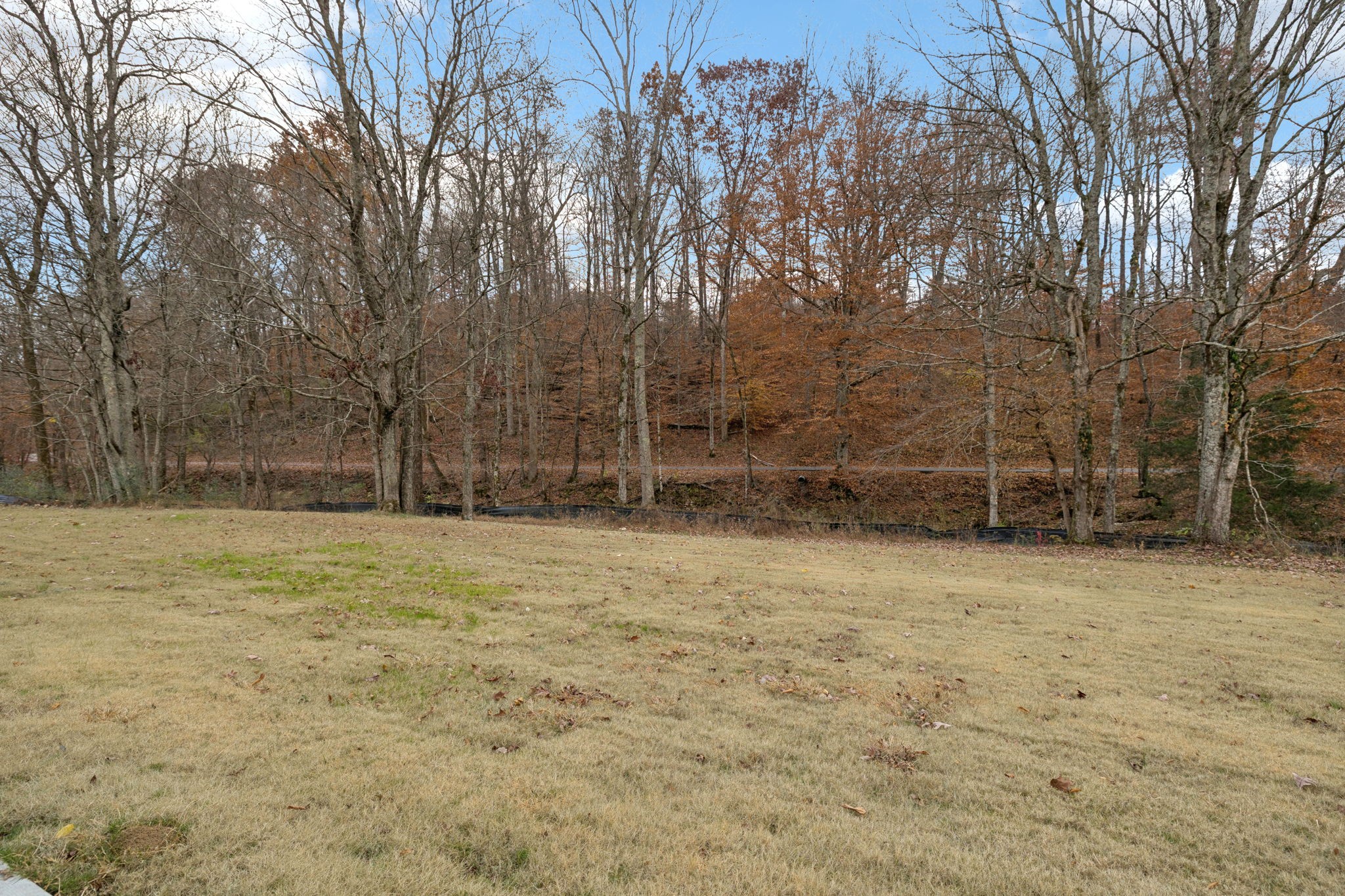129 Ironhorse Way Dickson, TN 37055 - Photo 28 of 35 a view of a backyard