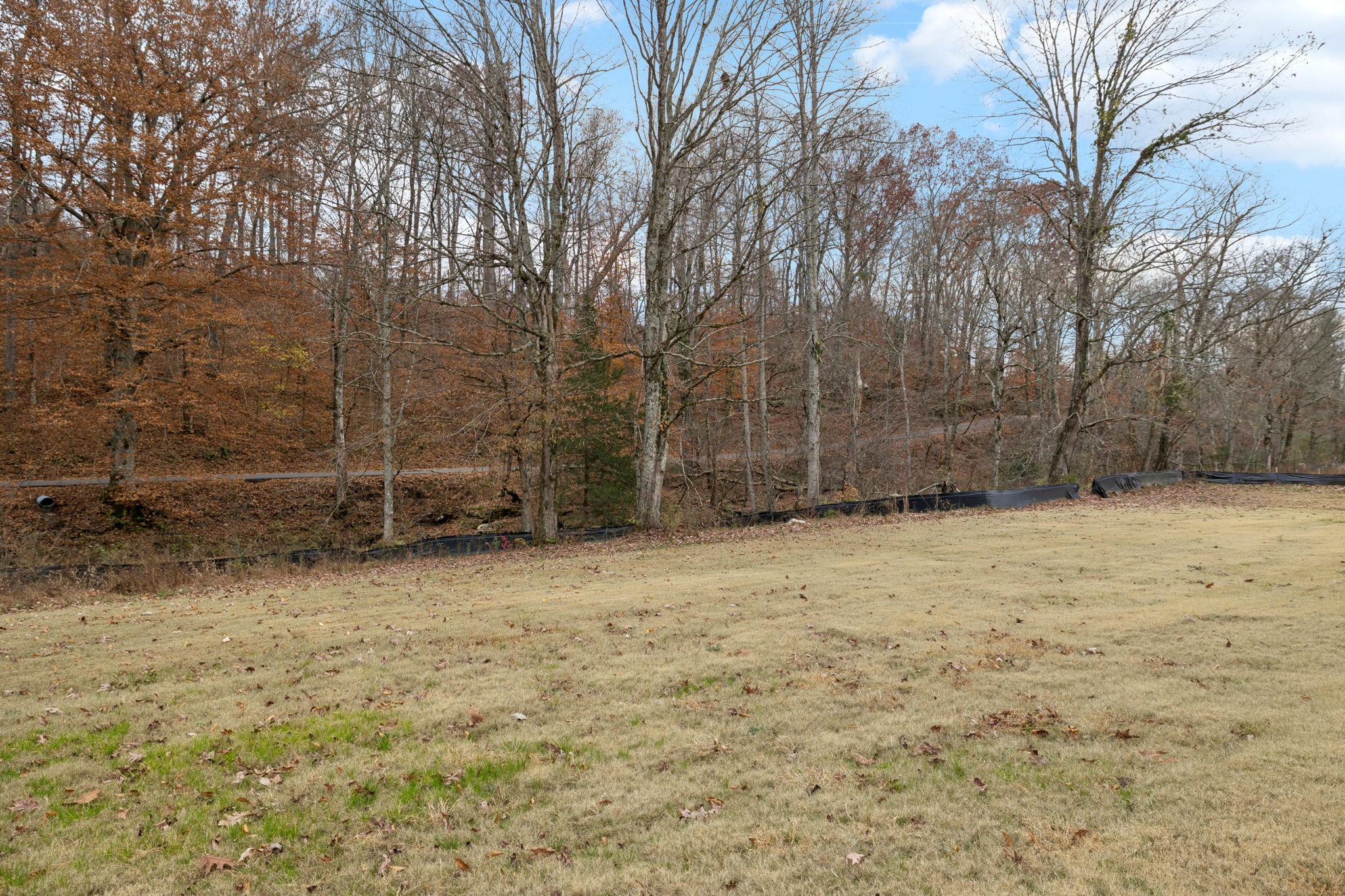 129 Ironhorse Way Dickson, TN 37055 - Photo 29 of 35 a view of a backyard of the house