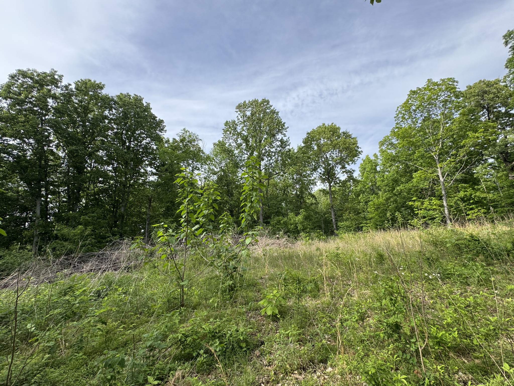 0 Bethel Road Prospect, TN 38477 - Photo 19 of 29 Gallery Image 19