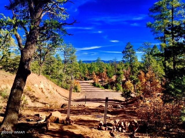 6174 West Starlight Ridge Parkway Lakeside, AZ 85929 - Photo 43 of 46