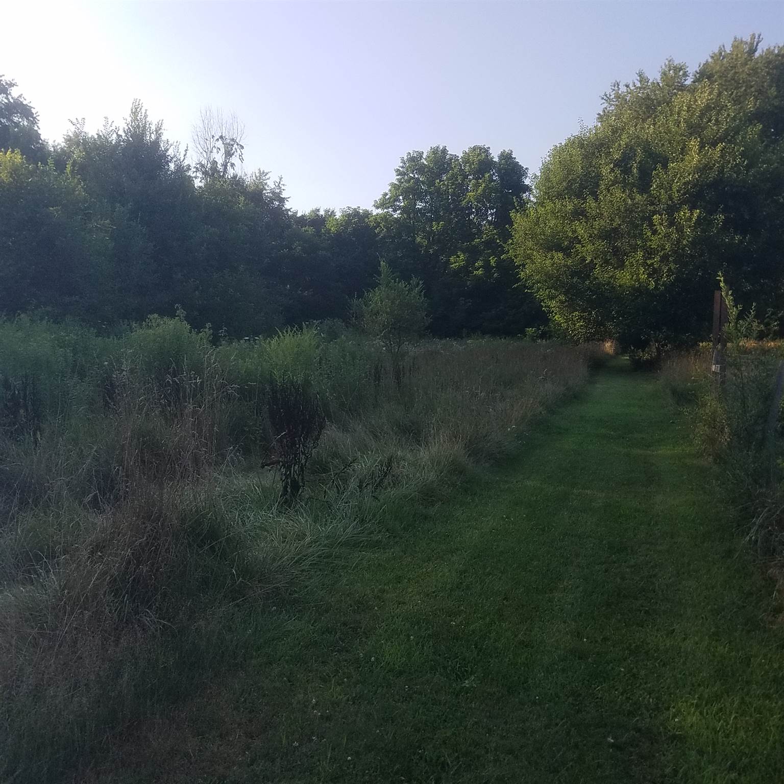 25165 Edison Road South Bend, IN 46628 - Photo 2 of 17
