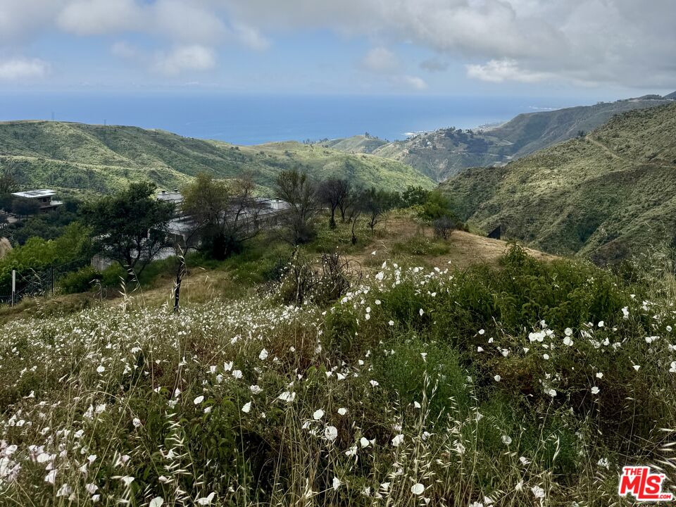 62 Tuna Canyon Road Topanga, CA 90290 - Photo 5 of 8 a view of a lush green forest with mountains in the background