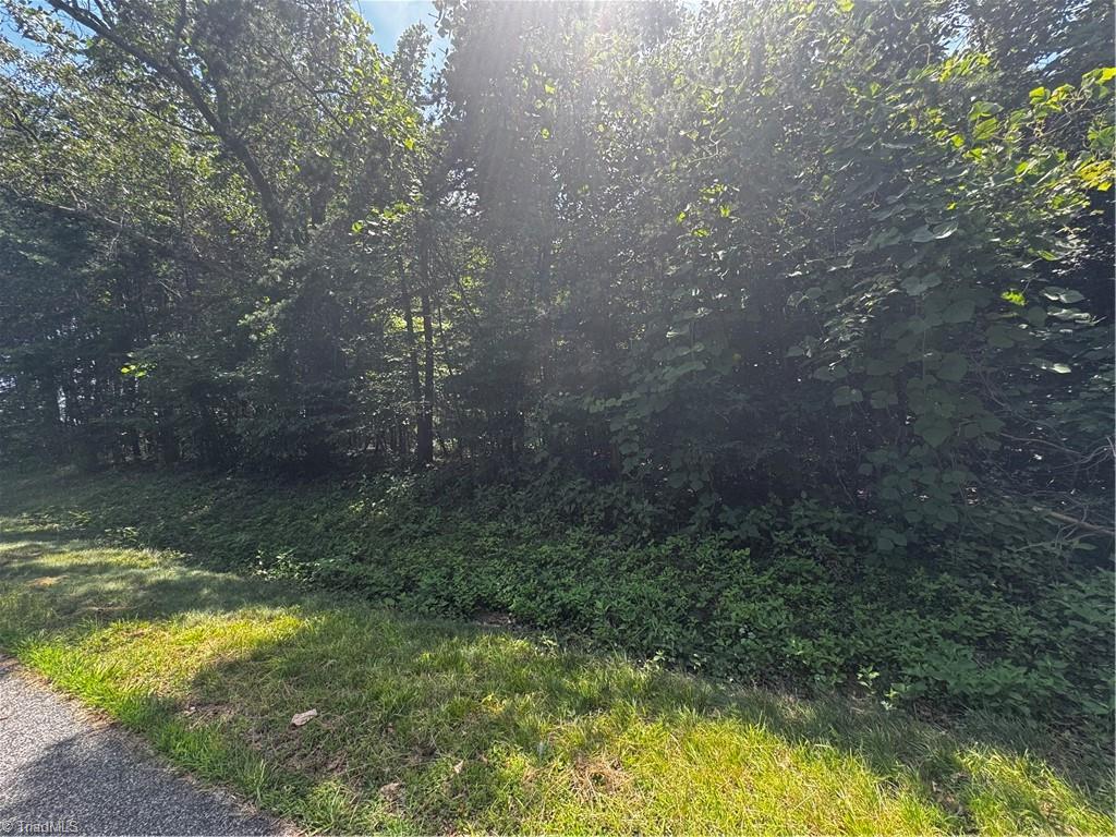 301 Pryor Road Pelham, NC 27311 - Photo 3 of 7