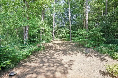 a view of a forest with trees in the background