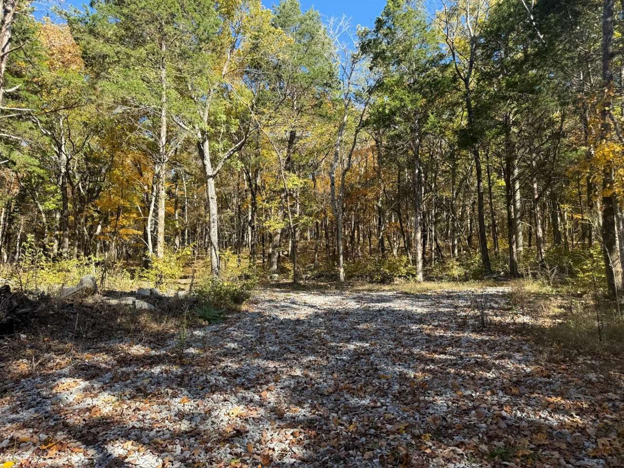 Gallery Image 7