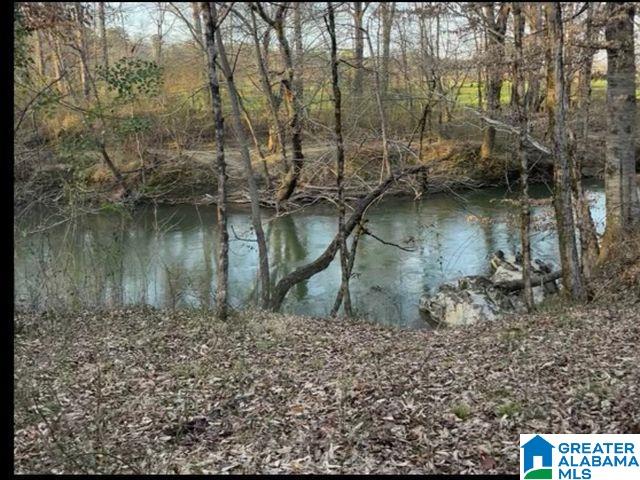 0 Highway 231, Unit 1 Vincent, AL 35178 - Photo 1 of 6