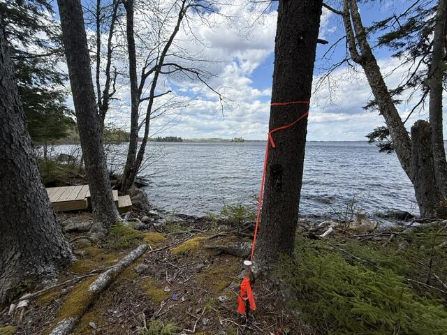 Lot12-part Indian Trail Road East Machias, ME 04630 - Photo 6 of 34 IMG_9869