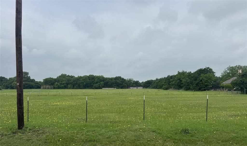 2509 Grace Lane Lancaster, TX 75146 - Photo 5 of 6 Expansive open field featuring green grass and scattered yellow wildflowers
