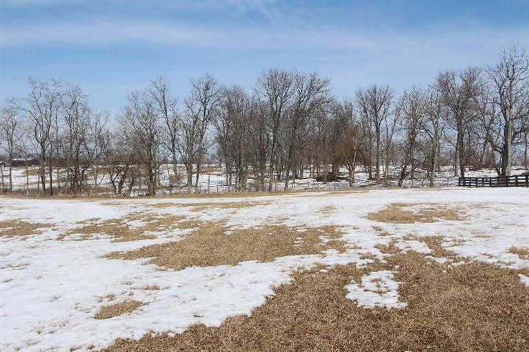 4171 Ironworks Road Georgetown, KY 40324 - Photo 68 of 77 Photo 68
