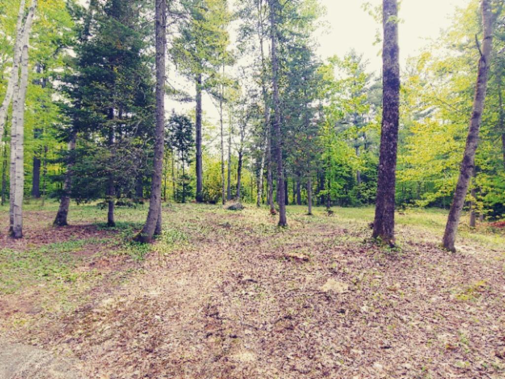 Mr3-l51a Webster Road Farmington, ME 04938 - Photo 3 of 4 20190531_102316_HDRMLS
