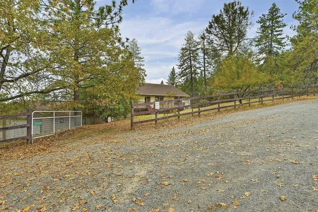 a view of a house with backyard and a tree