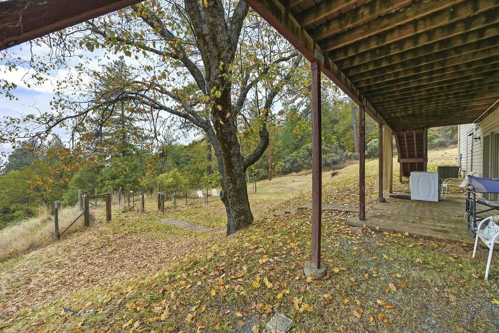 2930 Holloway Drive Georgetown, CA 95634 - Photo 54 of 93 a view of yard with tree
