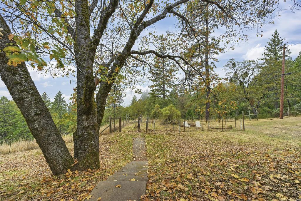 2930 Holloway Drive Georgetown, CA 95634 - Photo 55 of 93