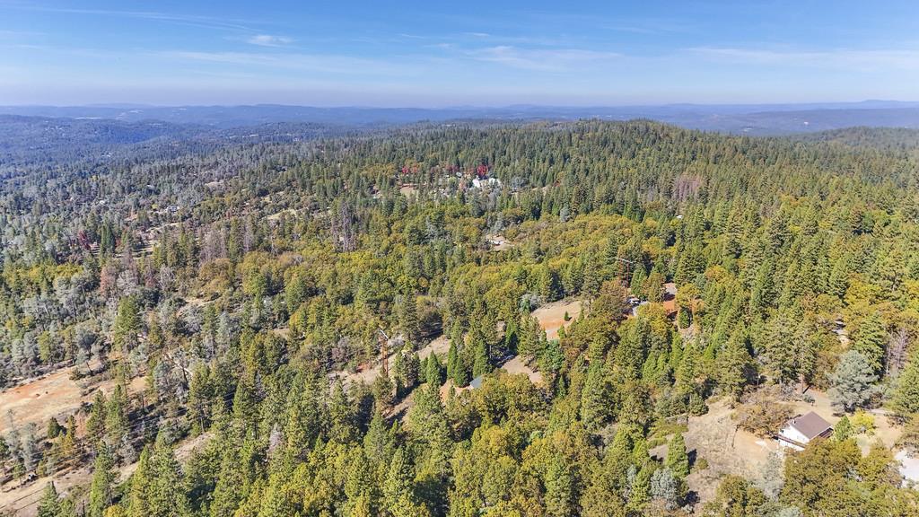 2930 Holloway Drive Georgetown, CA 95634 - Photo 66 of 93 a view of a lush green field