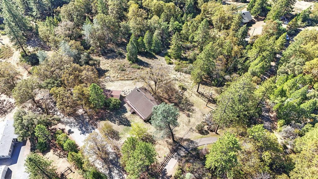 2930 Holloway Drive Georgetown, CA 95634 - Photo 70 of 93