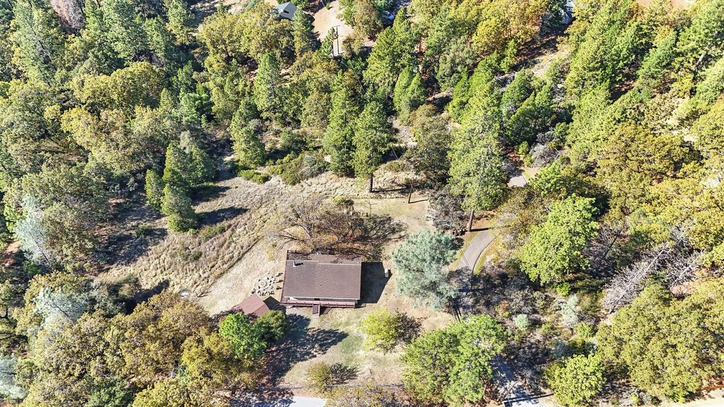 2930 Holloway Drive Georgetown, CA 95634 - Photo 71 of 93 an aerial view of house with yard and trees in the background