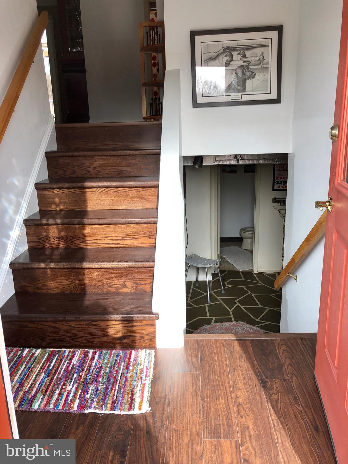 Entry way with hardwood steps