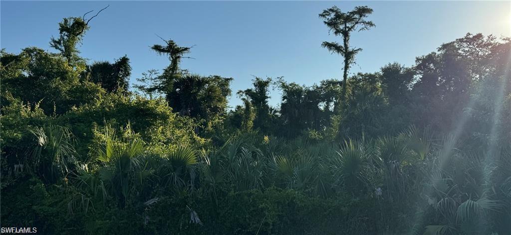 Undisclosed Address Naples, FL 34117 - Photo 3 of 7 a view of a plant in a garden