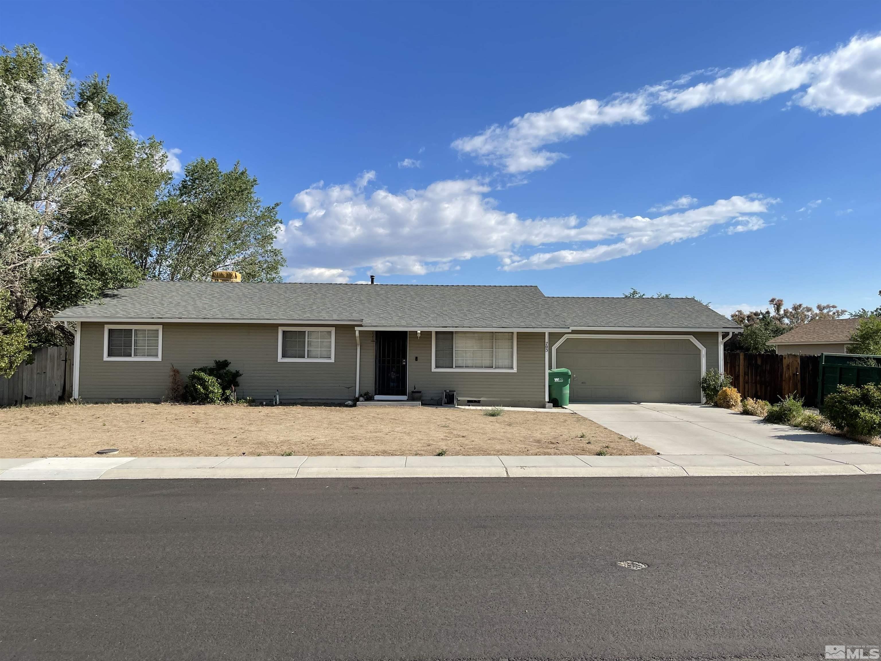 703 Empire Road Dayton, NV 89403 - Photo 1 of 31 a house with trees in the background