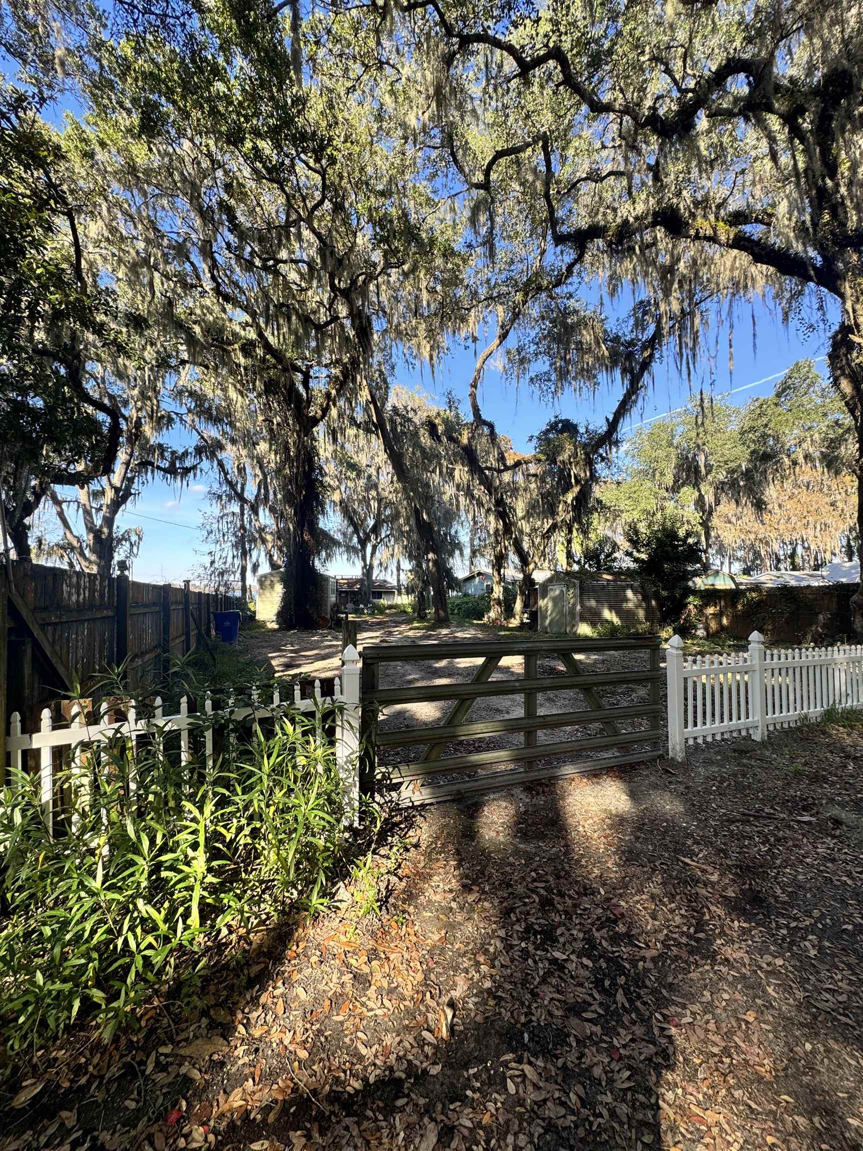8550 Palmo Fish Camp Road, Unit 1 St. Augustine, FL 32092 - Photo 13 of 20 a view of street with bench next to a large trees
