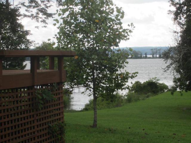 8811 Greenbriar Road Waverly, TN 37185 - Photo 5 of 30 Gallery Image 5