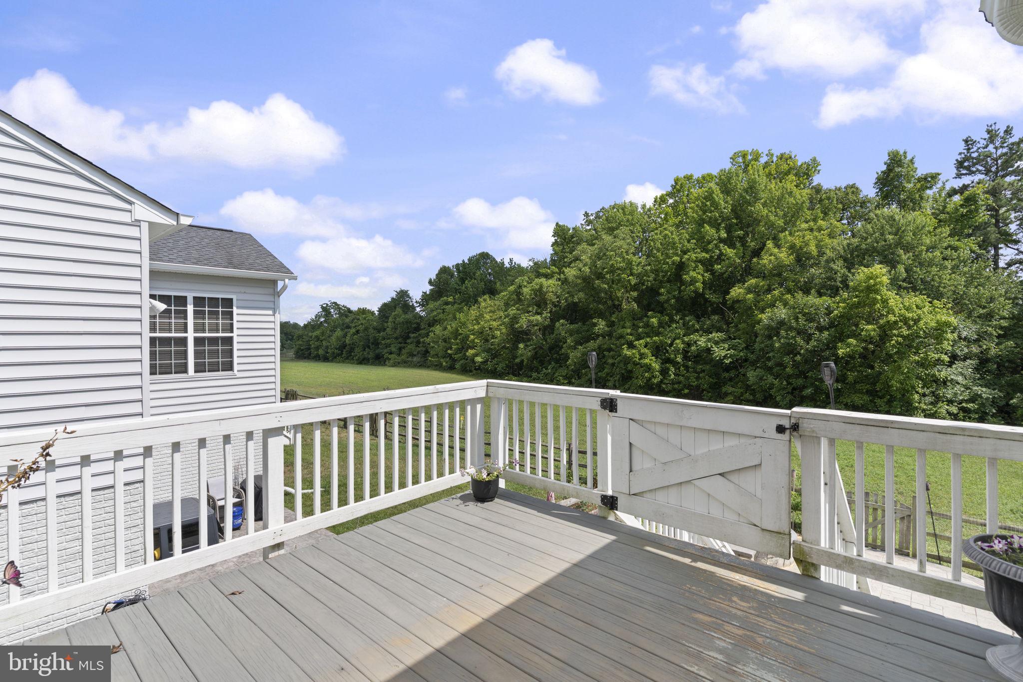 5270 Longbow Road King George, VA 22485 - Photo 57 of 75 Back deck with gate