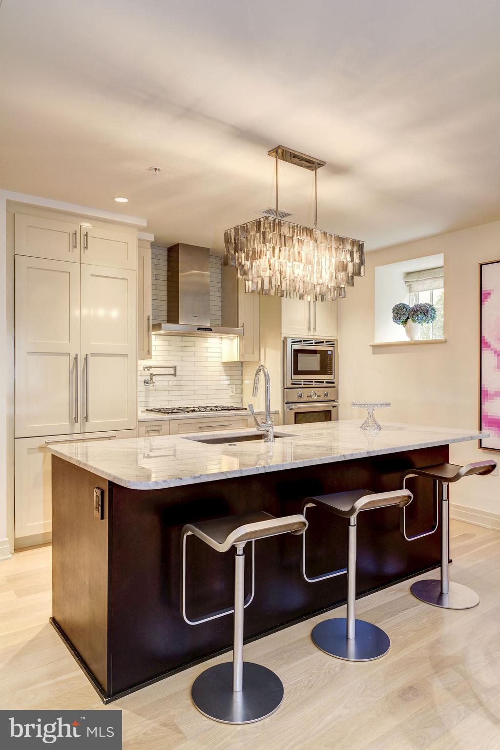 3052 R Street Northwest, Unit 102 Washington, DC 20007 - Photo 6 of 18 Kitchen Island