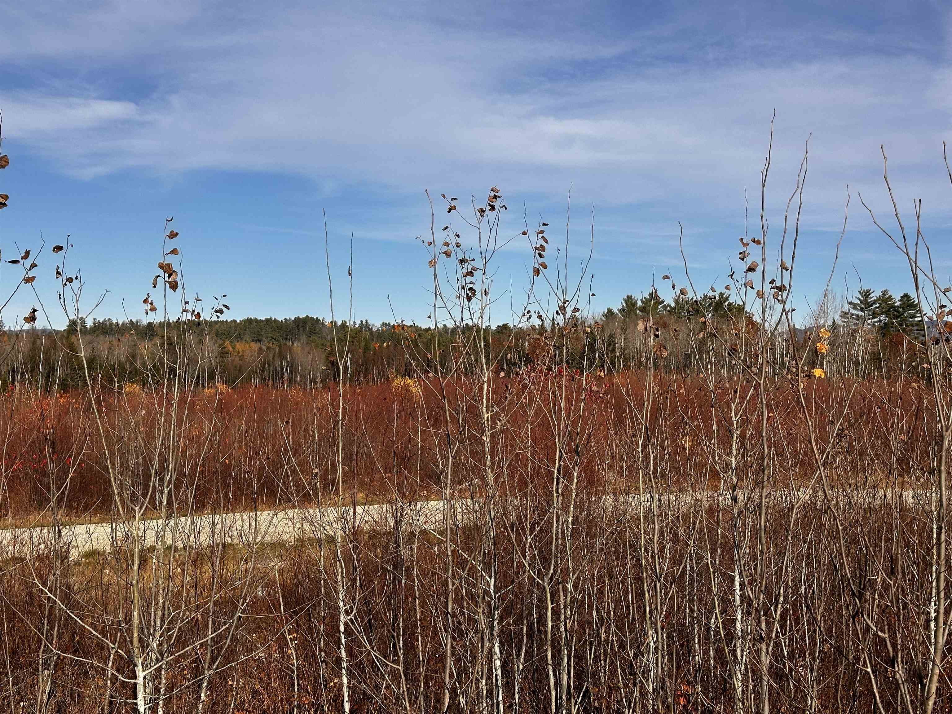 Tbd Mcintyre Road, Unit 7 Dalton, NH 03598 - Photo 7 of 19