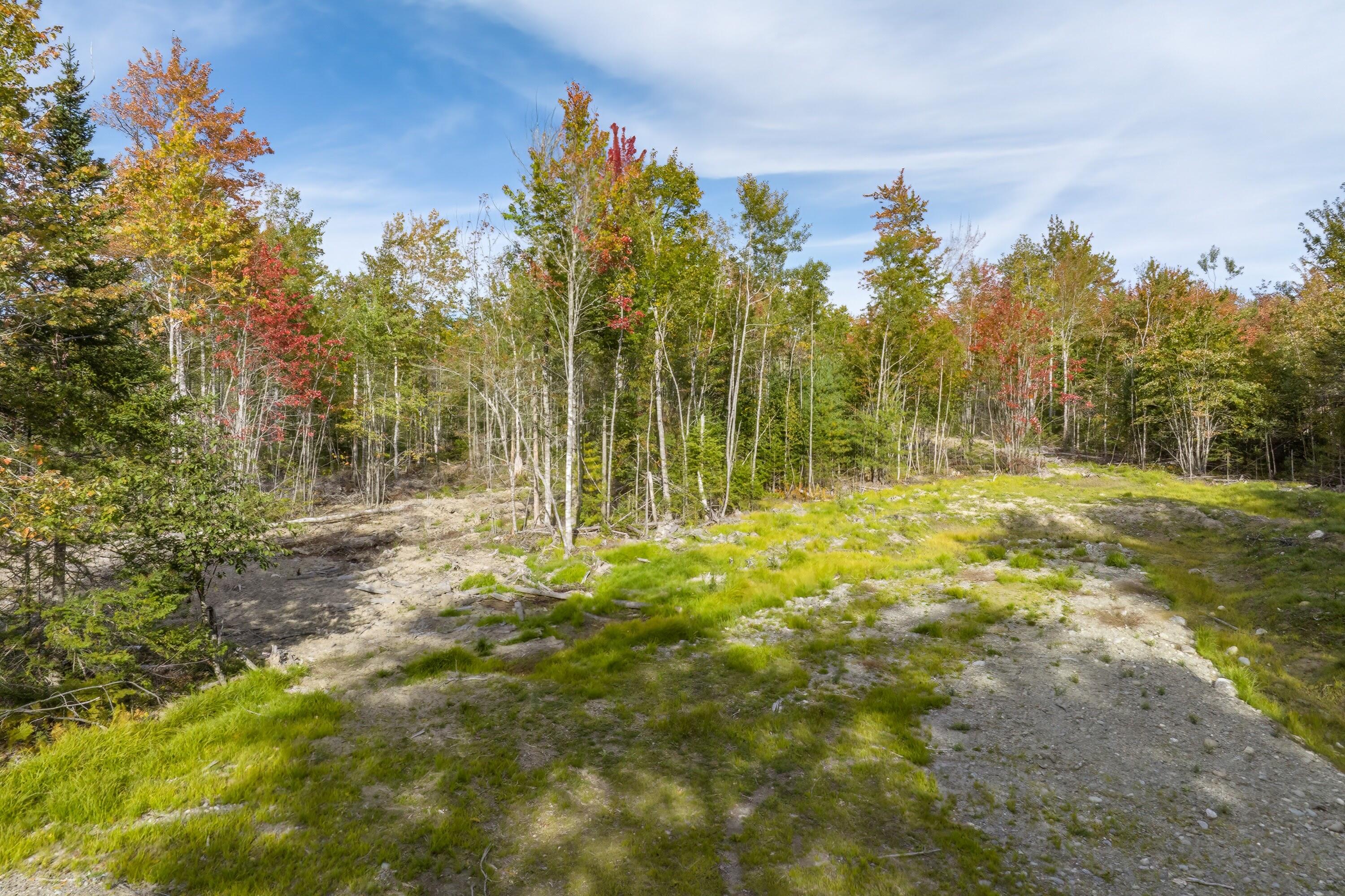 0 Partridge Cove Road Lamoine, ME 04605 - Photo 20 of 21 52 - 386 Partridge Cove Road Land HiRes