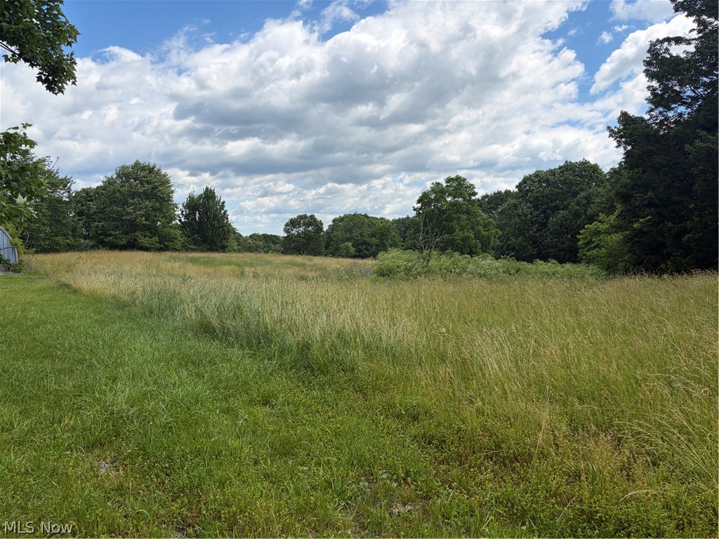 15441 Johnson Road Lisbon, OH 44432 - Photo 5 of 45 Nature