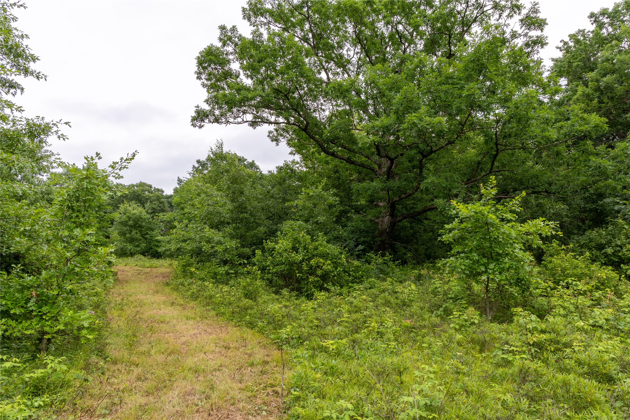 N1297 Cth Street Bruce, WI 54819 - Photo 13 of 43