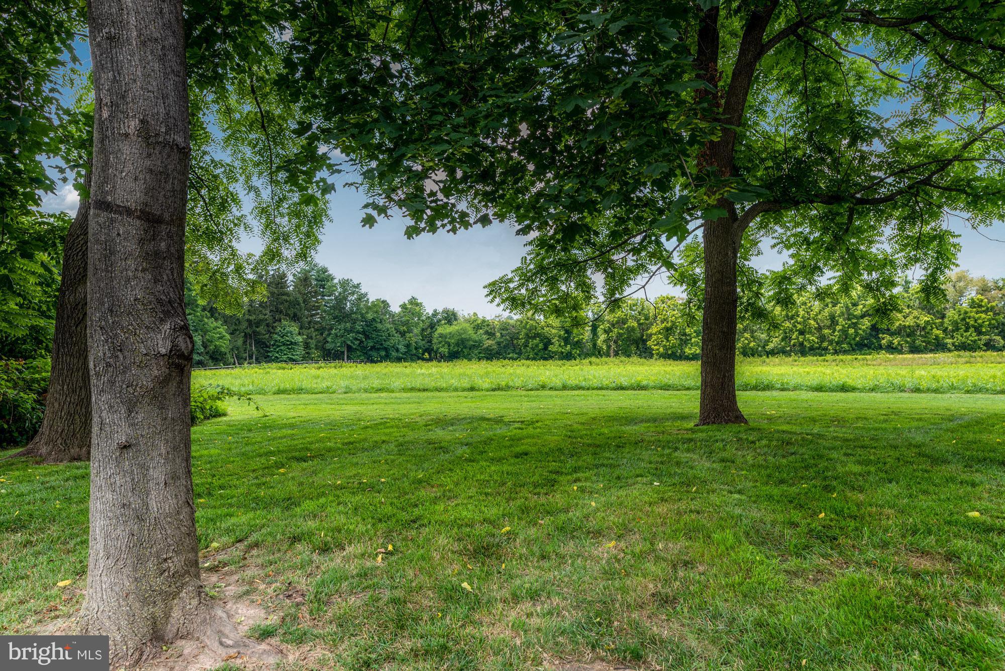 41 Meade Road Ambler, PA 19002 - Photo 38 of 42 Views of Prophecy Creek Park from Rear Yard