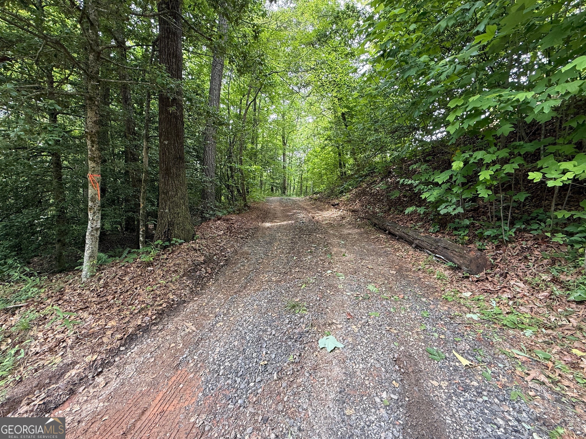 0 Mr Bert Road Hiawassee, GA 30546 - Photo 14 of 22