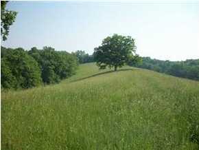4 Ashes Creek Road Bloomfield, KY 40008 - Photo 1 of 1 Primary Photo