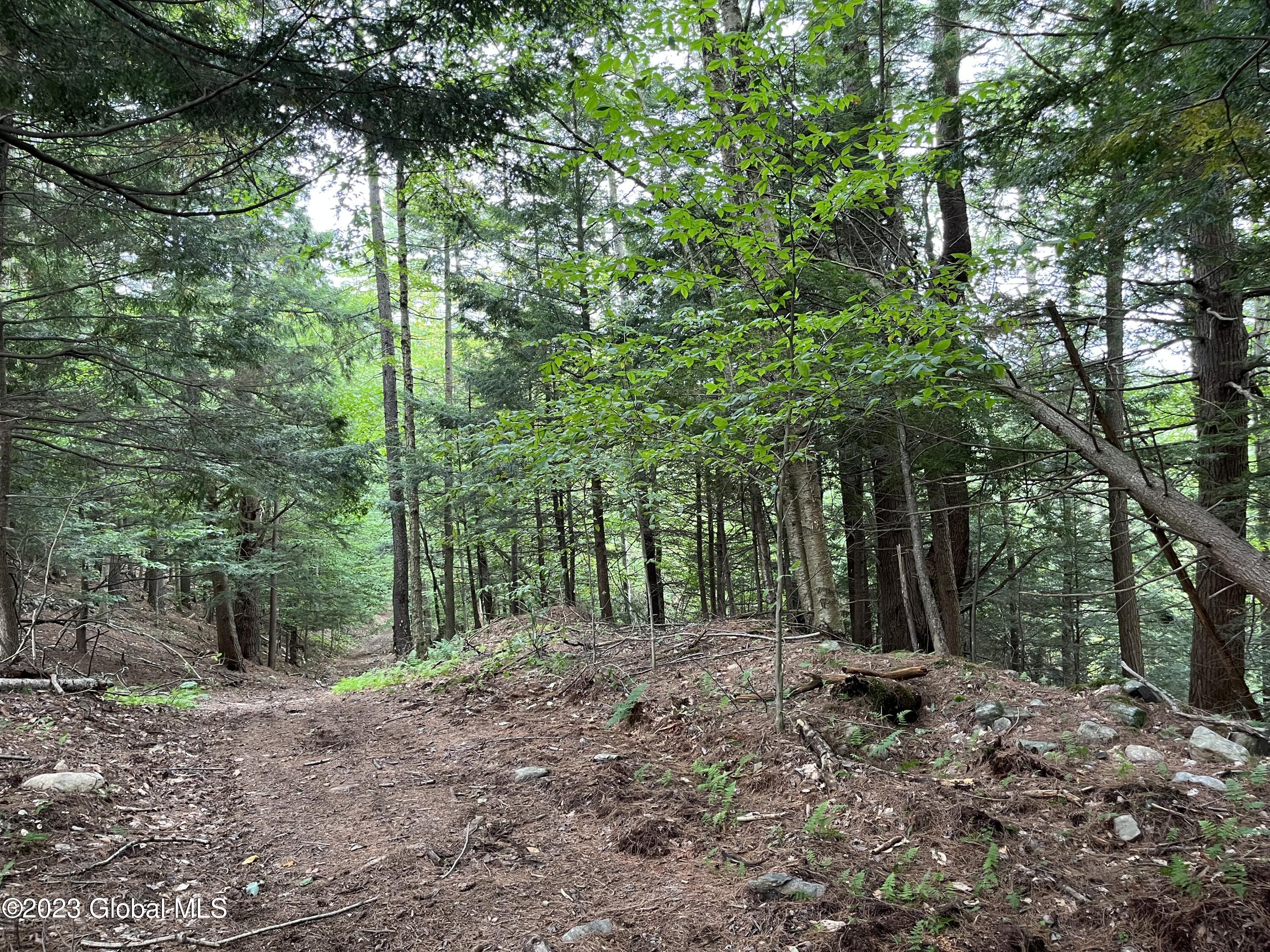L59 Centerline Road Galway, NY 12074 - Photo 1 of 9 image_50770689 7 logging road