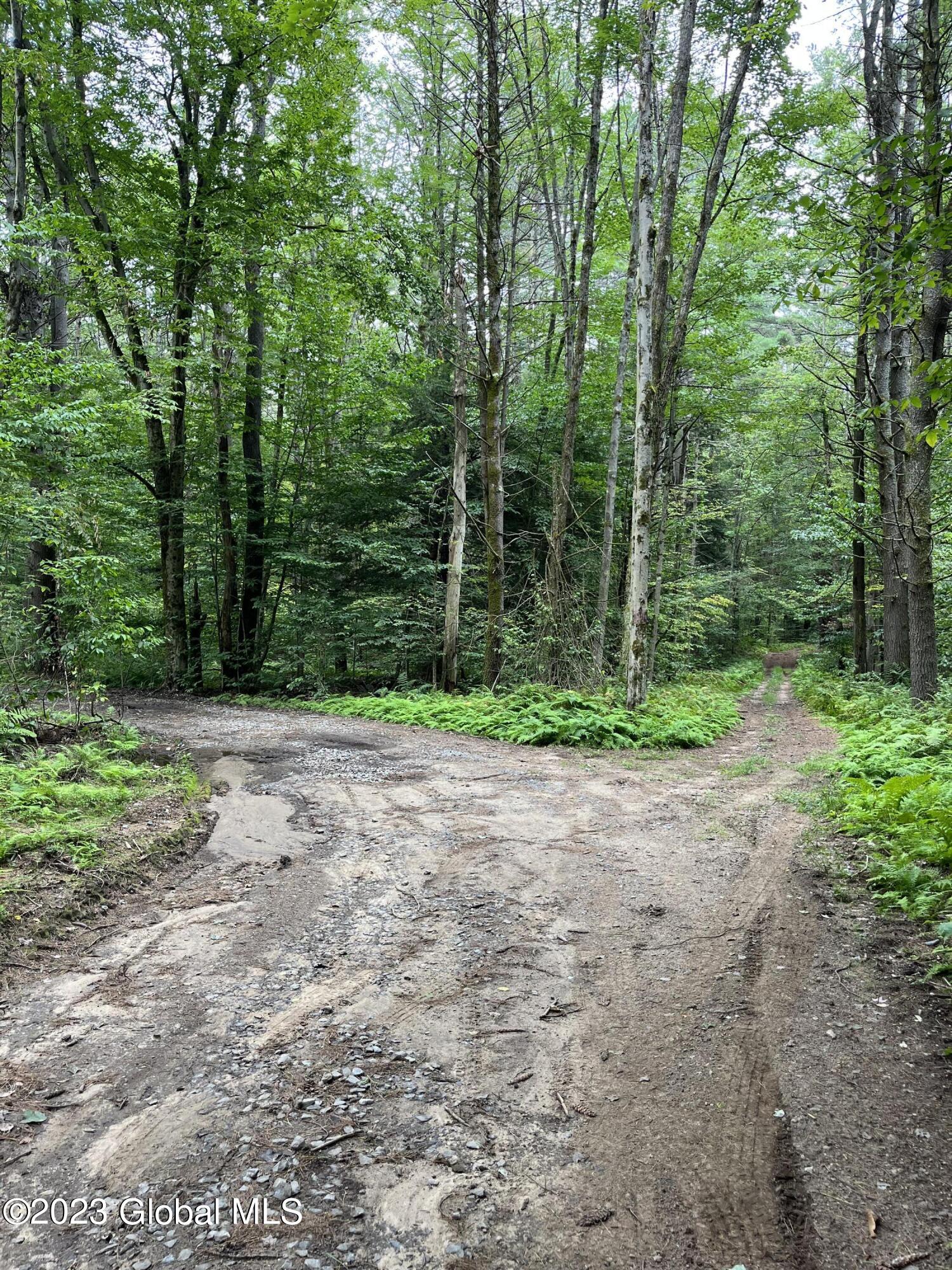L59 Centerline Road Galway, NY 12074 - Photo 3 of 9 image_67518977 9