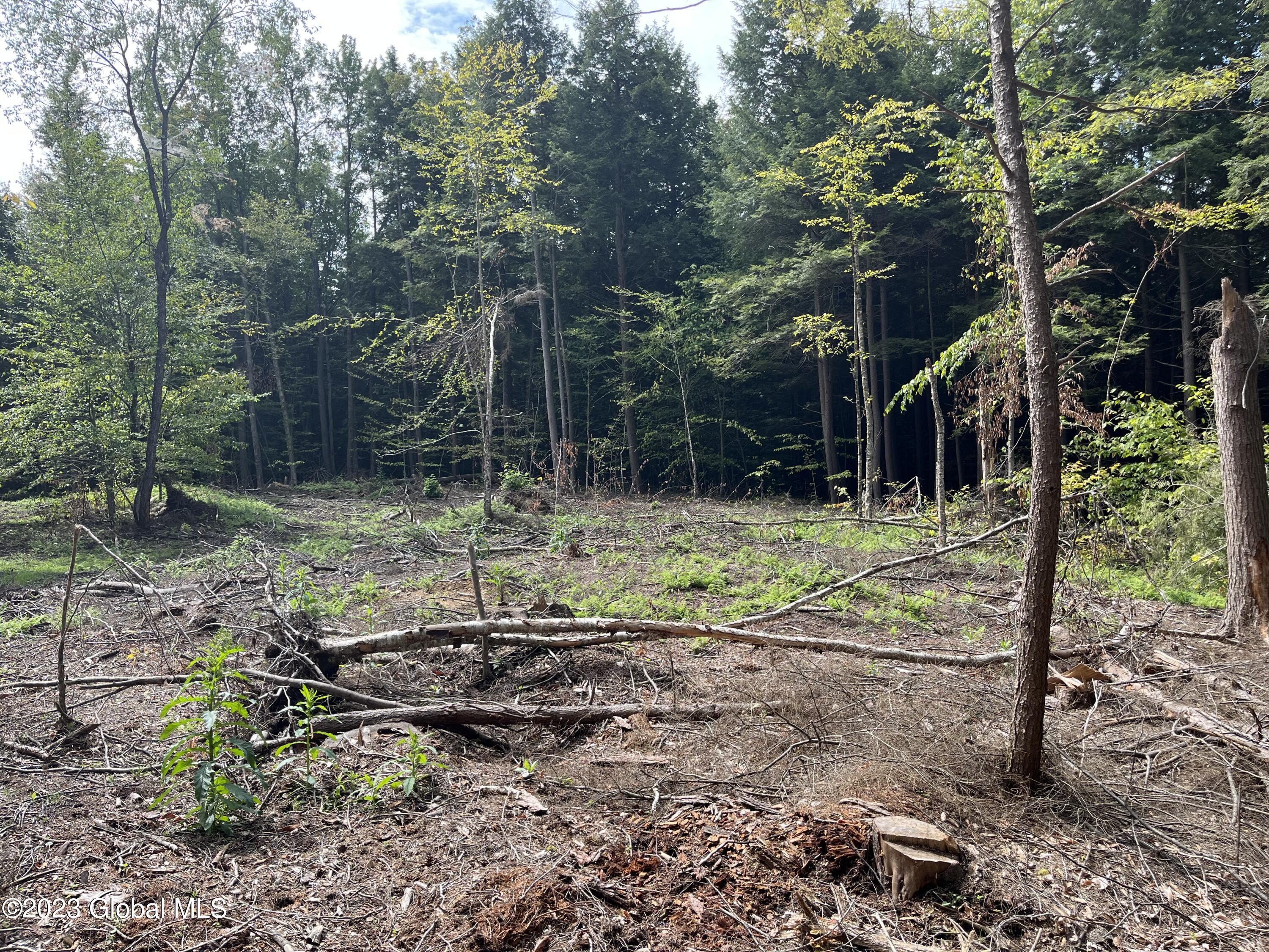 L59 Centerline Road Galway, NY 12074 - Photo 5 of 9 image_50737153 5