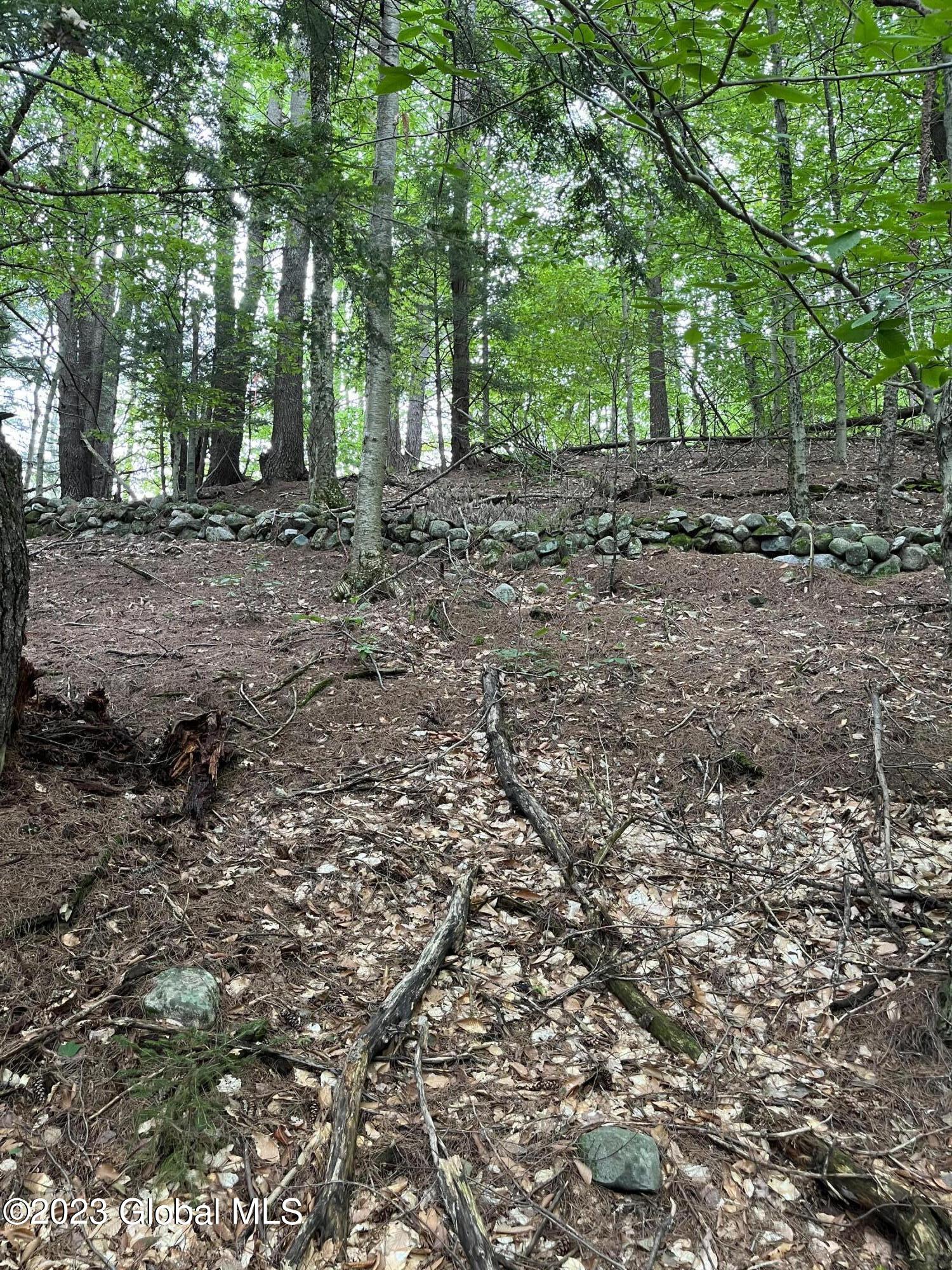 L59 Centerline Road Galway, NY 12074 - Photo 8 of 9 image_67561729 1