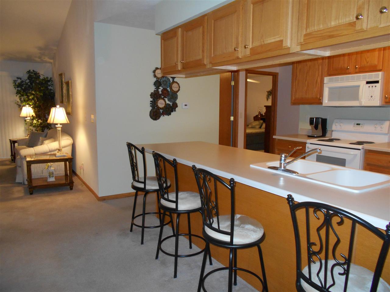 440 Mill Ridge Drive Byron, IL 61010 - Photo 4 of 12 Gallery Image 4