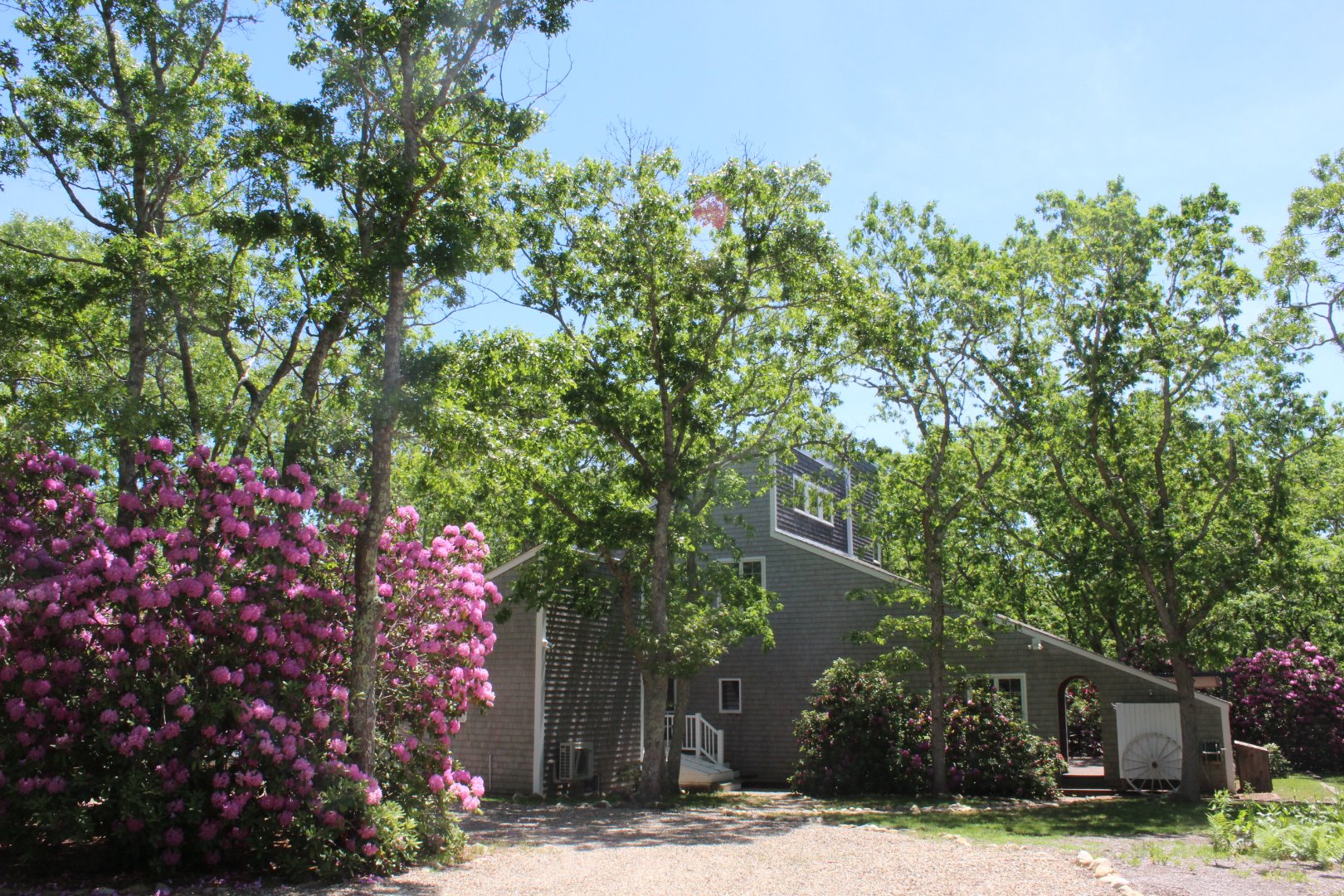 37 Edgartown Meadows Road Edgartown, MA 02539 - Photo 3 of 38 front view of a house with a tree