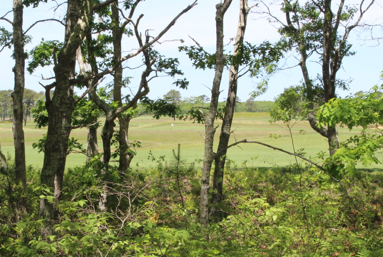 37 Edgartown Meadows Road Edgartown, MA 02539 - Photo 4 of 38