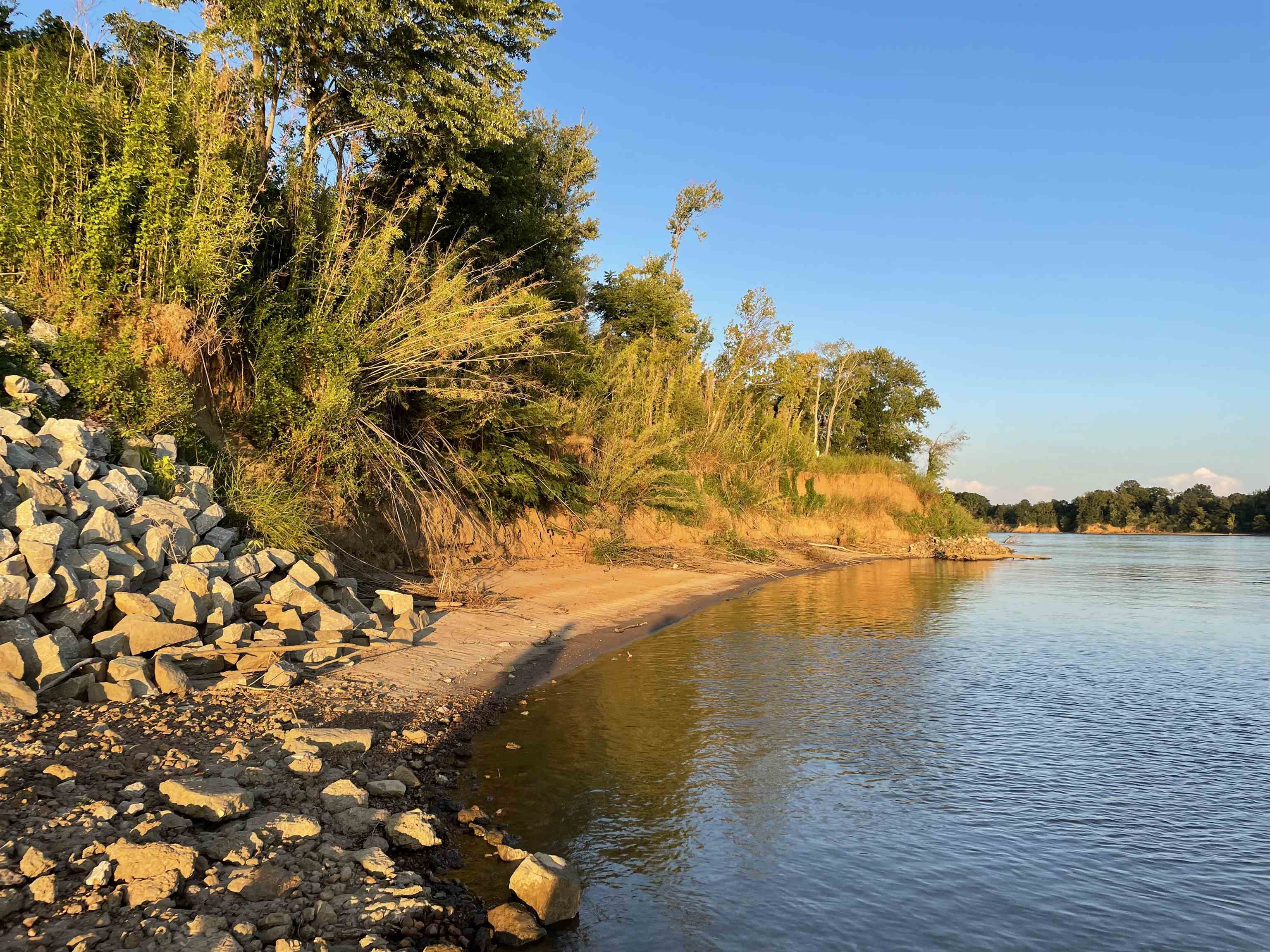 Lot 80 River Breeze Road Crump, TN 38327 - Photo 1 of 3